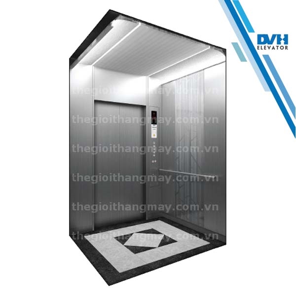 Thang máy gia đình hcm 110