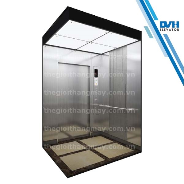 Thang máy gia đình hcm 111