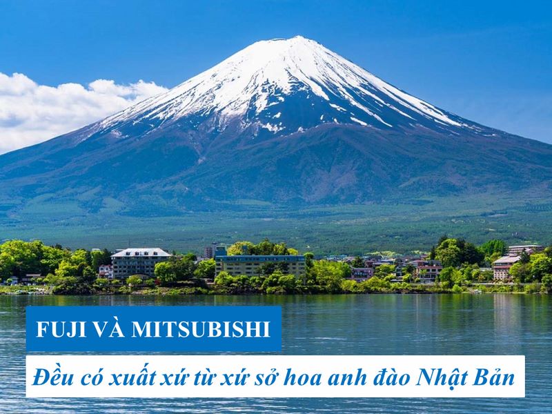 tìm hiểu về kích thước thang máy mitsubishi 450kg